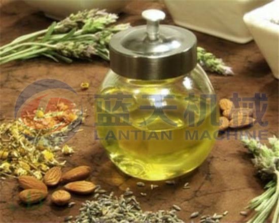 Nut oil press machine