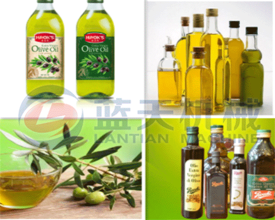 Hydraulic olive oil press machine