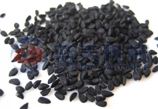 Black seed oil press machine