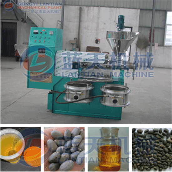 Jatropha seeds oil press machine
