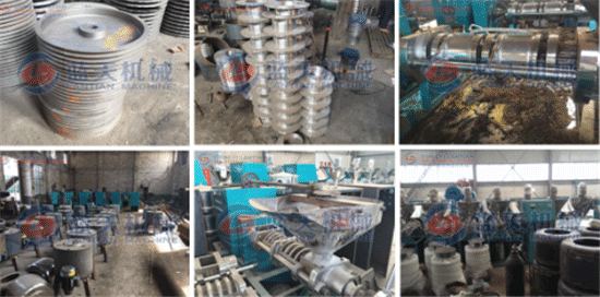 Sunflower oil press machine