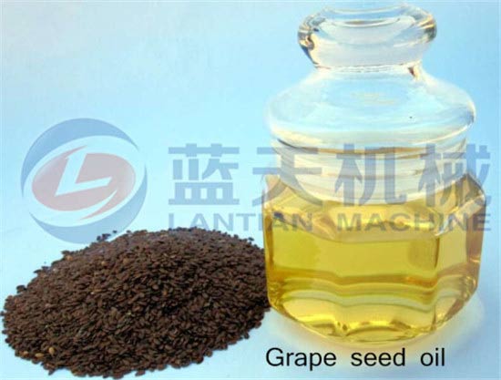 Grape seed oil extraction machine